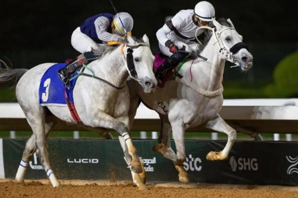 منافسة
    قوية
    في
    سباقات
    مهرجان
    الأمير
    سلطان
    بن
    عبدالعزيز
    العالمي
    للجواد
    العربي