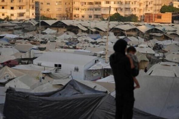 العمليات
الحكومية
والأشغال
العامة
تُطلقان
حملة
"المأوى
حق
غزة"