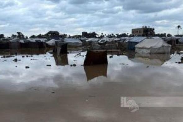 مركز
المناخ:
تقلبات
جوية
حادة
واضطراب
ملاحي
خلال
الـ48
ساعة
القادمة