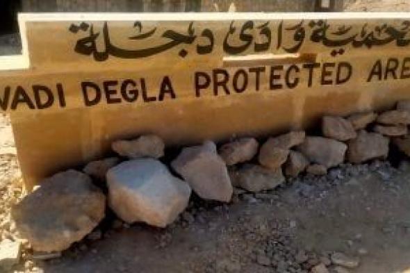 محمية
وادي
دجلة
نموذج
للاستدامة
والتناغم
بين
التراث
والطبيعة