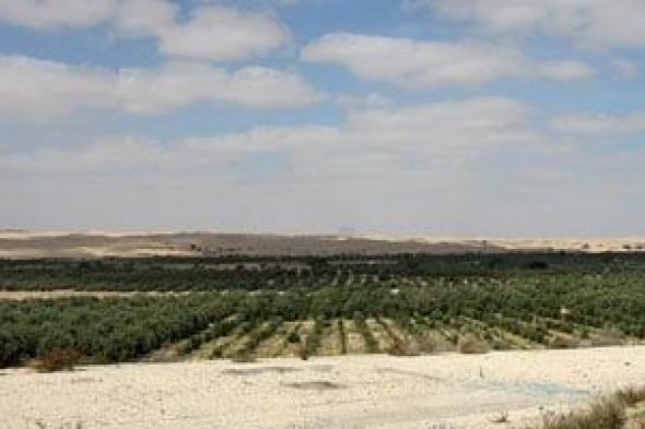 كيف
تواجه
محاصيلك
الارتباك
الفسيولوجى
الناتج
عن
تقلبات
الطقس؟