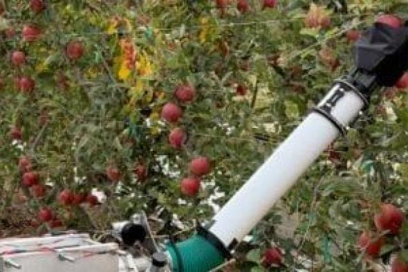 ابتكار
ذراعا
روبوتية
مرنة
لقطف
التفاح
دون
إتلاف
الثمار