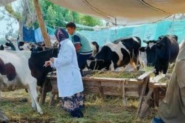 بيطرى
المنيا:
تحصين
238
ألفًا
و410
رؤوس
ماشية
ضد
الحمى
القلاعية