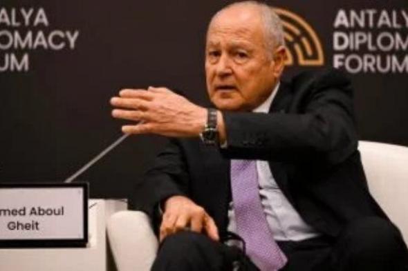 أبو الغيط يبحث هاتفيا مع وزيرة خارجية أيرلندا تطورات غزة والملفات الإقليمية