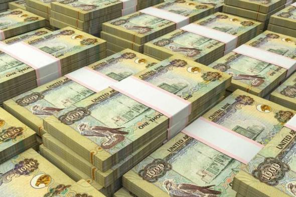 76.8
      مليار
      درهم
      القروض
      الممنوحة
      للأفراد
      في
      11
      شهراً