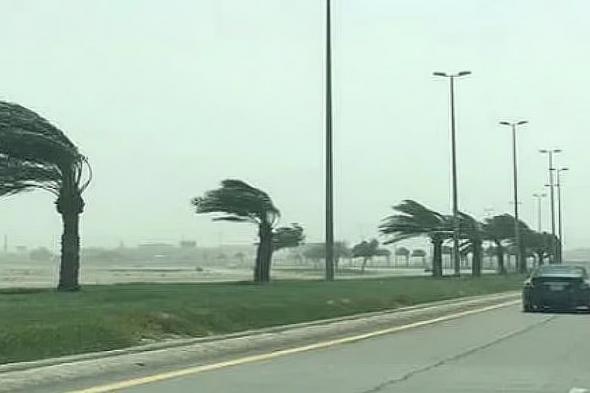 «الأرصاد»:
    رياح
    شديدة
    على
    منطقتي
    حائل
    وتبوك