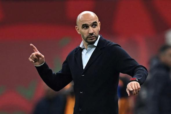 مدرب المغرب: الإنجاز هو لقب أمم أفريقيا