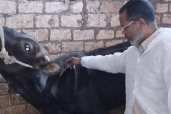 الزراعة:
فحص
وعلاج
أكثر
من
1.7
مليون
رأس
ماشية
وطائر
ضمن
القوافل
البيطرية
فى
عام