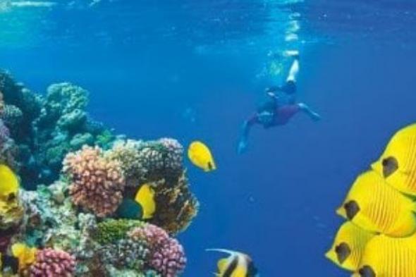 تضاهى المالديف وسيشل.. «ديلى ميل» تتغنى بمناخ مصر فى فبراير ومارس