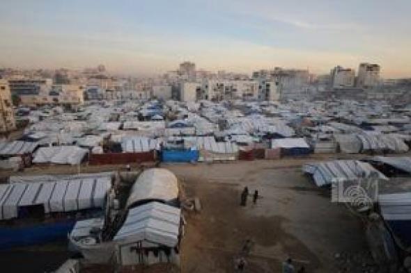 برلماني:
نجاح
الوساطة
المصرية
فى
الانتقال
للمرحلة
الثانية
بغزة
بارقة
أمل
للشعب
الفلسطيني