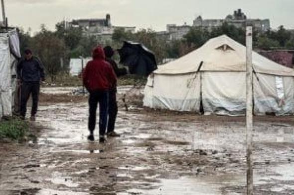 برلمانية
الشعب
الجمهورى:
مصر
تقود
مسار
التهدئة
فى
غزة
بدور
مسؤول
وحاسم