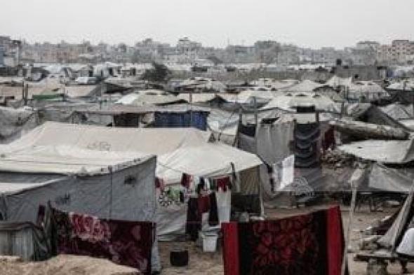 النائبة
غادة
البدوي:
نثمن
الجهود
المصرية
لدعم
الشعب
الفلسطيني