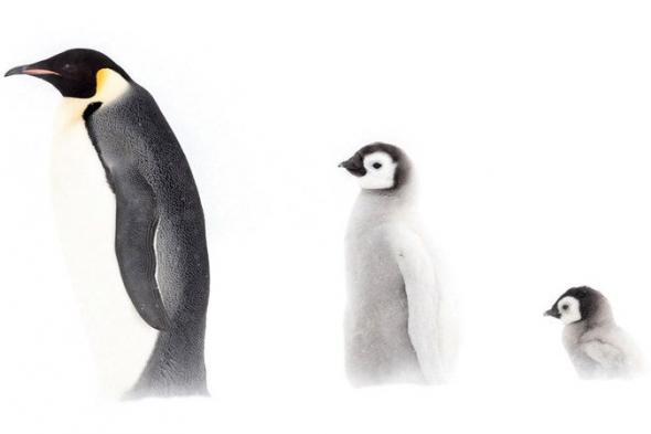 مبدعون وراء العدسة.. يطلون أمامها في «إكسبوجر»