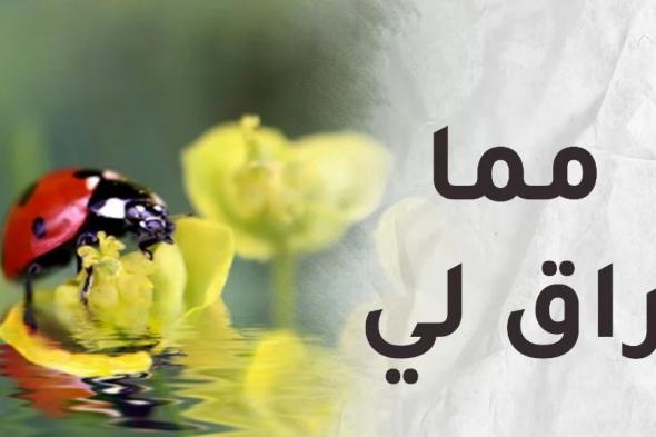 العيش
في
الظلام
منعني
من
التقدم
للأمام