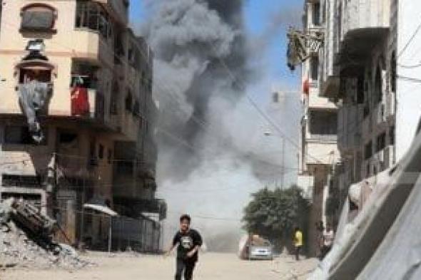 مصر
قلب
السلام
فى
غزة:
نائب
يشيد
بالدور
المصرى
الفاعل
والنتائج
الملموسة