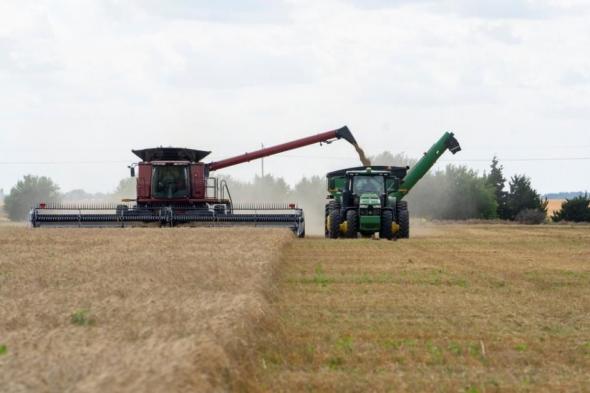 مناقصة
      سعودية
      ترفع
      سعر
      القمح
      الأوروبي..
      ومنافسة
      أرجنتينية
      في
      شمال
      أفريقيا