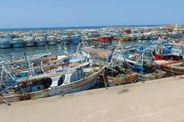 محافظة
كفر
الشيخ:
استئناف
الملاحة
بميناء
الصيد
فى
البرلس
بعد
توقف
7
أيام