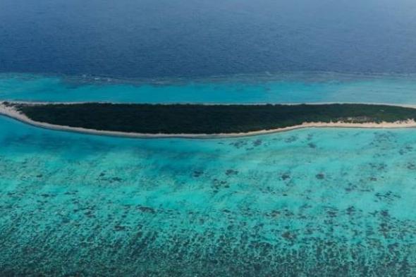 جزيرة
    مرمر..
    محمية
    طبيعية
    تزخر
    بتنوعها
    البيئي
    وترسم
    ملامح
    سياحة
    بحرية
    مستدامة