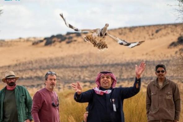 محمية
    الأمير
    محمد
    بن
    سلمان
    الملكية
    تُعيد
    توطين
    طائر
    الحبارى
    الآسيوي