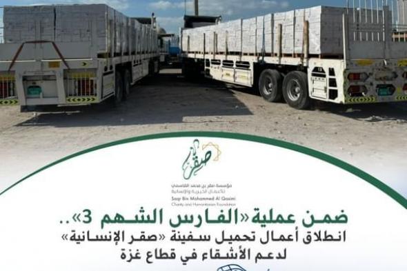 بدء تحميل "سفينة صقر الإنسانية" لدعم الأشقاء في قطاع غزة