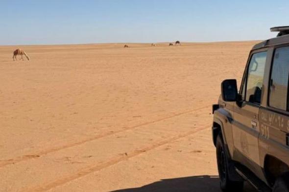 ضبط
    مواطن
    لارتكابه
    مخالفة
    الرعي
    بمحمية
    الإمام
    عبدالعزيز
    بن
    محمد
    الملكية