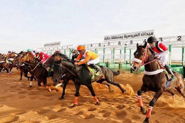 ميدان
    فروسية
    حائل
    يُنظم
    اليوم
    حفل
    سباقه
    التاسع