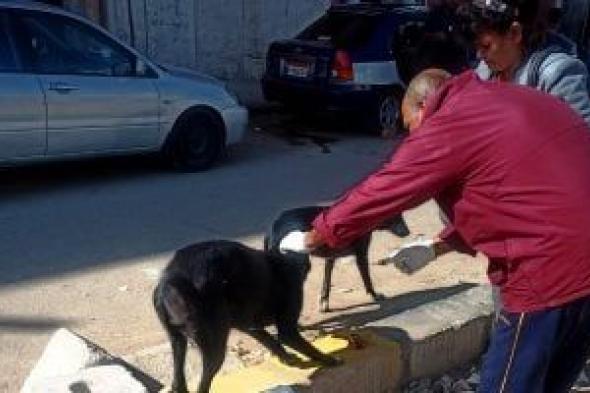 إطلاق
حملات
مكثفة
لمواجهة
الكلاب
الضالة
بالبحيرة..
اعرف
التفاصيل