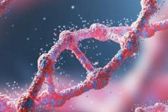 مختبرات
المستقبل
تتحدى
الطبيعة:
ثلاث
تقنيات
حيوية
ستغير
وجه
الحياة
هذا
العام