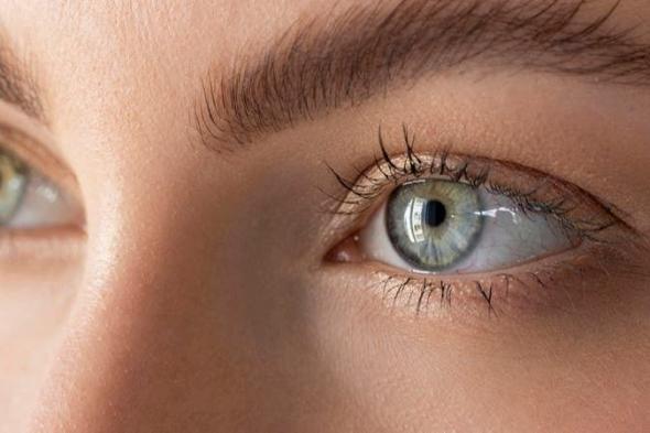 ثورة
      علمية..
      تطوير
      نظام
      "روبوتي"
      لجراحات
      العين
      الدقيقة