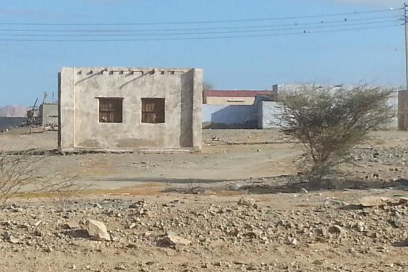 جريمة غامضة في مصر .. 3 تلاميذ مشنوقين في بيت مهجور