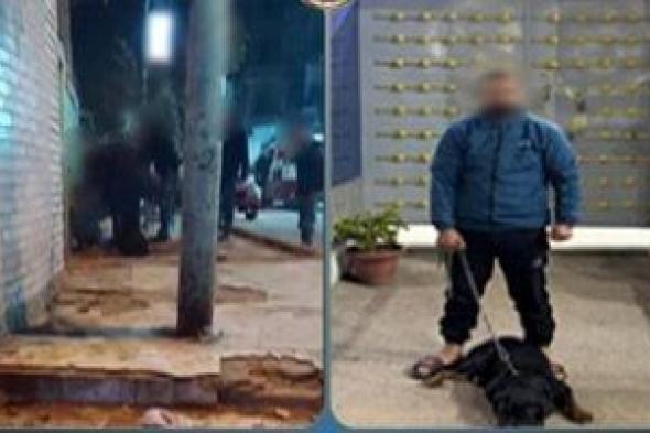 كلب
يهاجم
عامل
بالشرقية..
والتحقيقات
تكشف
الحقيقة
وراء
الفيديو
المثير