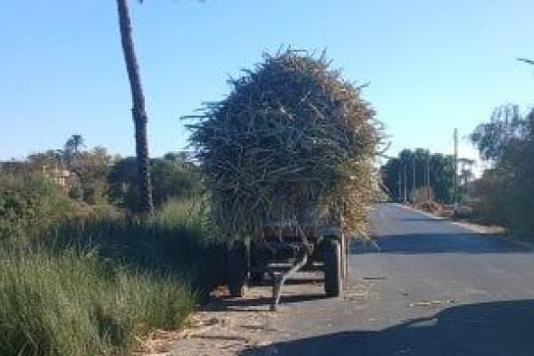 محافظ
قنا:
منع
وقوف
جرارات
القصب
على
الطرق
الرئيسية
وضرورة
تركيب
عواكس
فسفورية