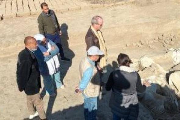 قيادات
آثار
الأقصر
يتابعون
أعمال
البعثات
الأجنبية
في
البر
الغربى..
صور