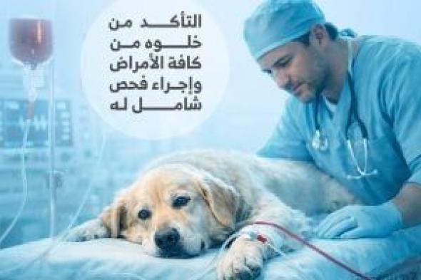 اشتراطات
صارمة
لعمل
بنوك
دم
الكلاب
فى
مصر..
إنفوجراف