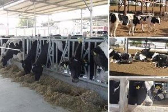 تسجيل
8247
صنفا
من
مخاليط
الأعلاف
العام
الماضى
و610
موافقات
لهذه
المشروعات