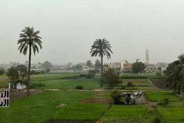 مركز
المناخ
يحذر
المزارعين
من
"سكر
كاذب"
وأمراض
فطرية..
وتوصيات
لمواجهة
الطقس