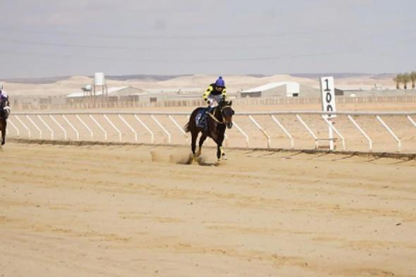 فروسية
    القريات
    تقيم
    حفل
    سباقها
    السادس
    لموسم
    1447هـ