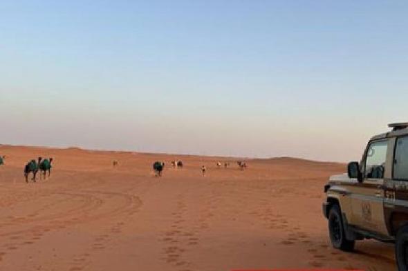 ضبط
    مواطن
    لارتكابه
    مخالفة
    رعي
    في
    محمية
    الإمام
    عبدالعزيز
    بن
    محمد
    الملكية