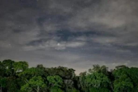 كيف تتغذى غابات الأمازون على دخان الحرائق؟ دراسة جديدة تكشف مفاجأة