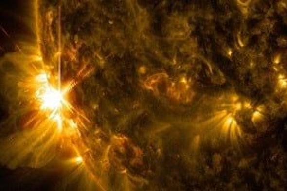 عاصفة
شمسية
قوية
تضرب
الأرض
وتتسبب
فى
ضربة
مغناطيسية
من
المستوى
الرابع