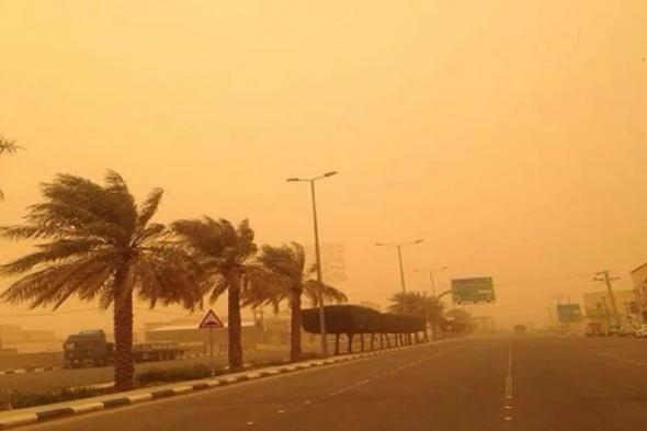 «الأرصاد»
    ينبه
    من
    رياح
    نشطة
    وأتربة
    مثارة
    على
    منطقة
    المدينة
    المنورة