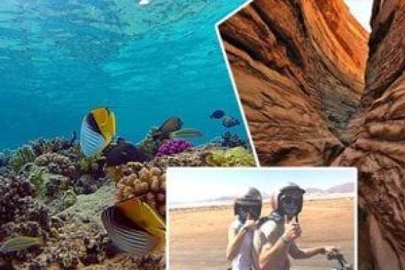 لهذه
الأسباب
تعتبر
شرم
الشيخ
«درة
تاج»
المحميات
الطبيعية