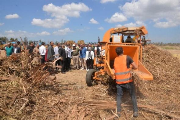 مصر..
      مصانع
      تدوير
      المخلفات
      تقضي
      على
      السحابة
      السوداء