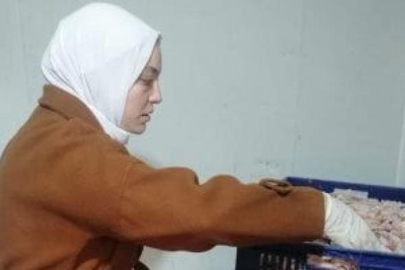 ضبط
2.5
طن
من
الدواجن
غير
صالحة
للاستهلاك
الآدمي
في
دمياط