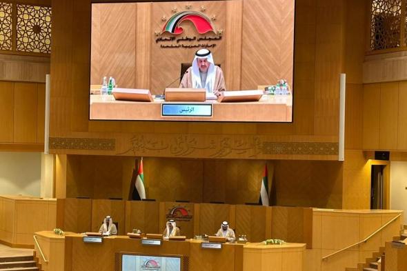 "الوطني" يطالب بإنشاء صندوق وطني للنفقة و"مخصص مواساة اتحادي" يصرف تلقائياً للأرامل