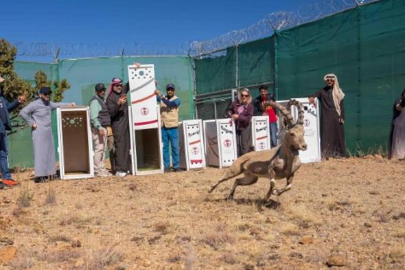 إطلاق
    12
    كائنًا
    فطريًا
    في
    متنزه
    السودة
    الوطني