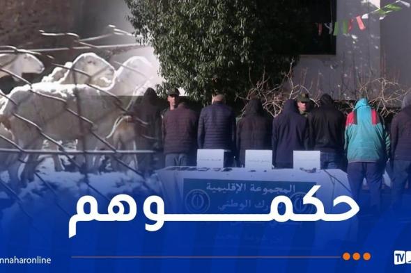 سيدي
بلعباس..
الدرك
يوقف
عصابة
مختصة
في
سرقة
المواشي