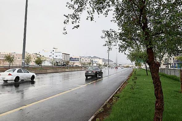 «الأرصاد»
    ينبّه
    من
    تقلبات
    جوية
    وأمطار
    متوسطة
    إلى
    غزيرة
    على
    منطقة
    الحدود
    الشمالية