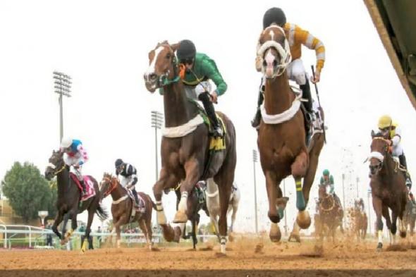 مواجهات
    قوية
    مرتقبة
    في
    سباقات
    الأسبوع
    الخامس
    عشر
    من
    موسم
    الرياض