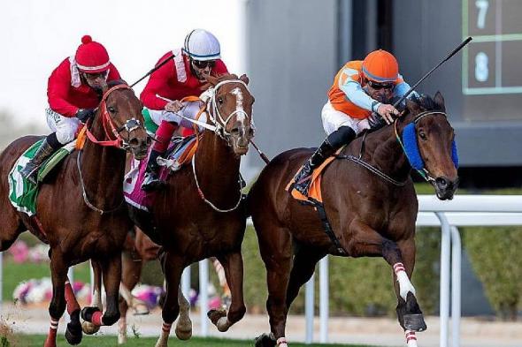 نادي
    سباقات
    الخيل
    يعلن
    أسماء
    المشاركين
    في
    تحدّي
    الخيّالة
    العالمي
    2026